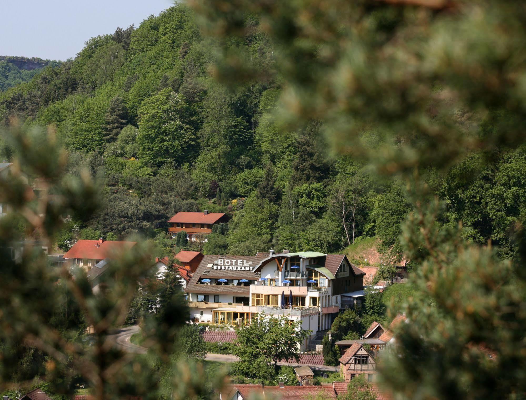 Hotel Am Hirschhorn - Wellness - Spa - And More Wilgartswiesen Экстерьер фото