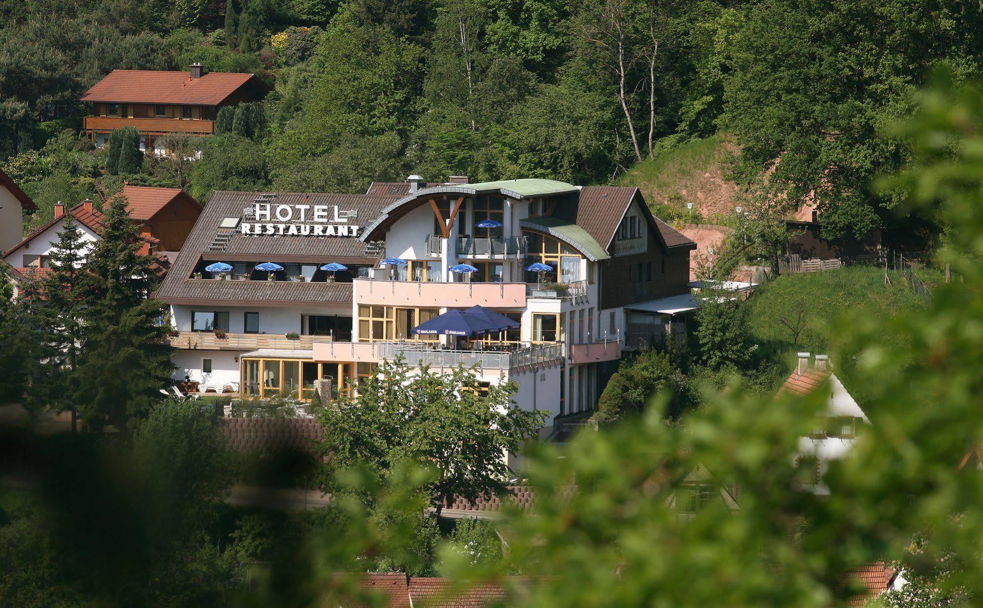 Hotel Am Hirschhorn - Wellness - Spa - And More Wilgartswiesen Экстерьер фото